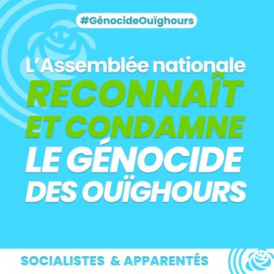 Reconnaissance du génocide des Ouïghours par l'Assemblée nationale