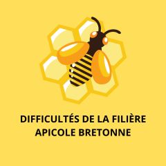 Question écrite sur les difficultés de la filière apicole bretonne