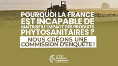 Produits phytosanitaires : création d'une commission d'enquête
