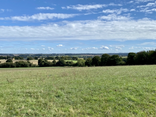 Loi d’orientation agricole : un texte sans ambition