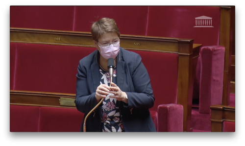 Question au Gouvernement sur le manque de places en structures médico-éducatives en Ille-et-Vilaine