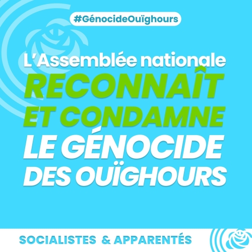 Reconnaissance du génocide des Ouïghours par l'Assemblée nationale