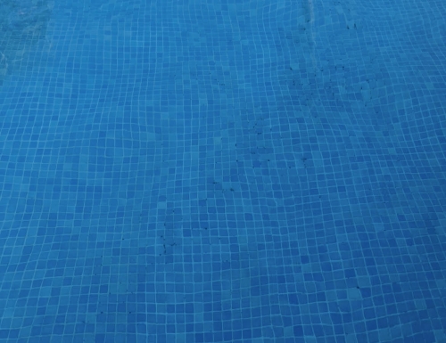 Lutte contre les noyades dans les piscines
