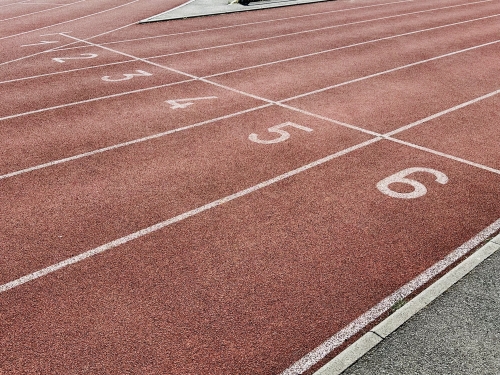 Commission d'enquête sur les fédérations françaises de sport