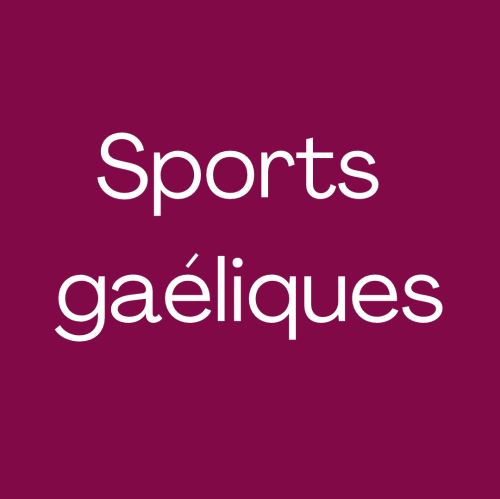 Sports gaéliques : demande d'agrément auprès du Ministère des Sports